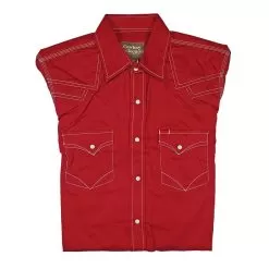 Cowboy Collection Men's Stitch Accent Shirt